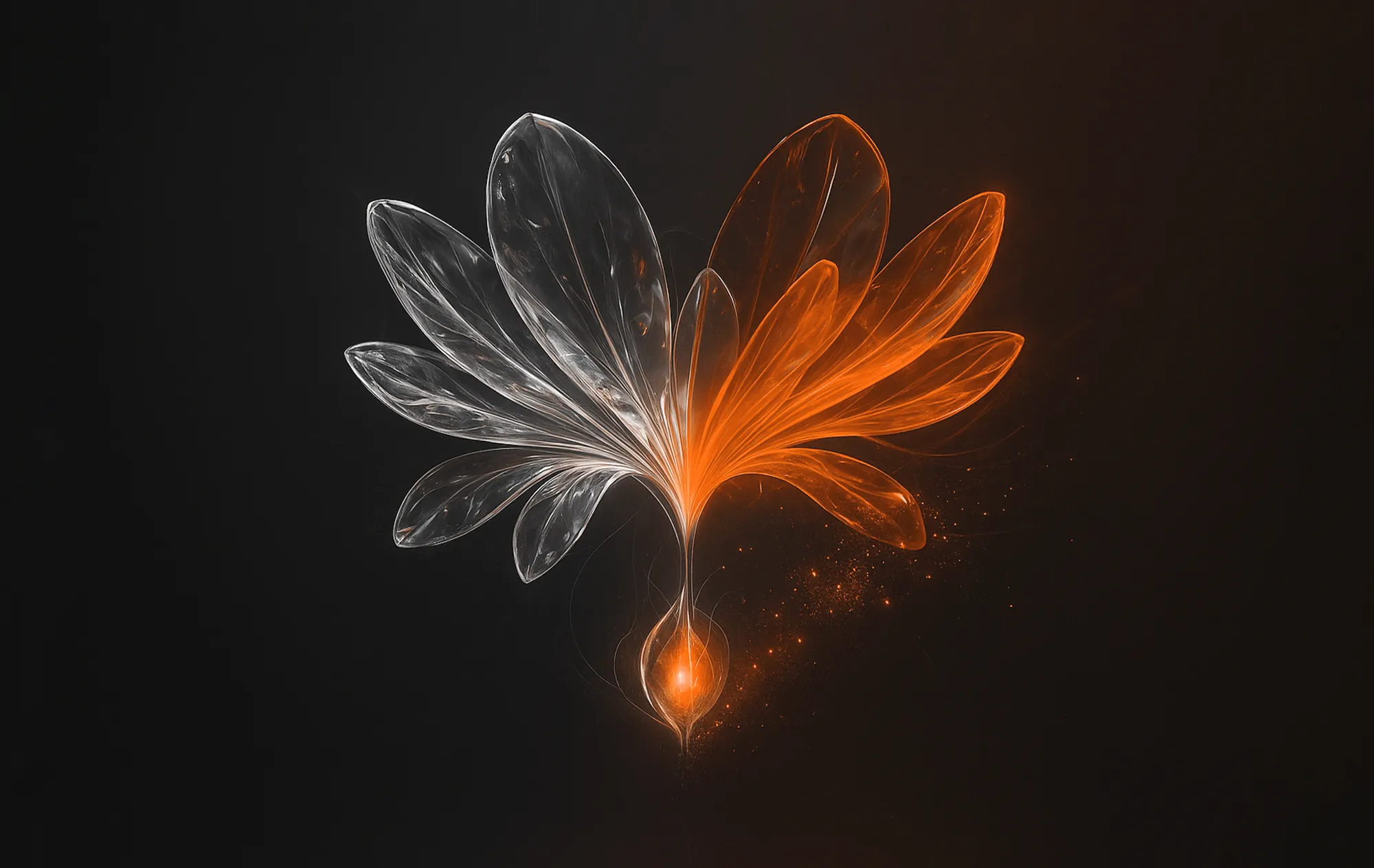 Symmetrical glowing petals in orange and white, illustrating Instagram advertising A/B testing strategy.